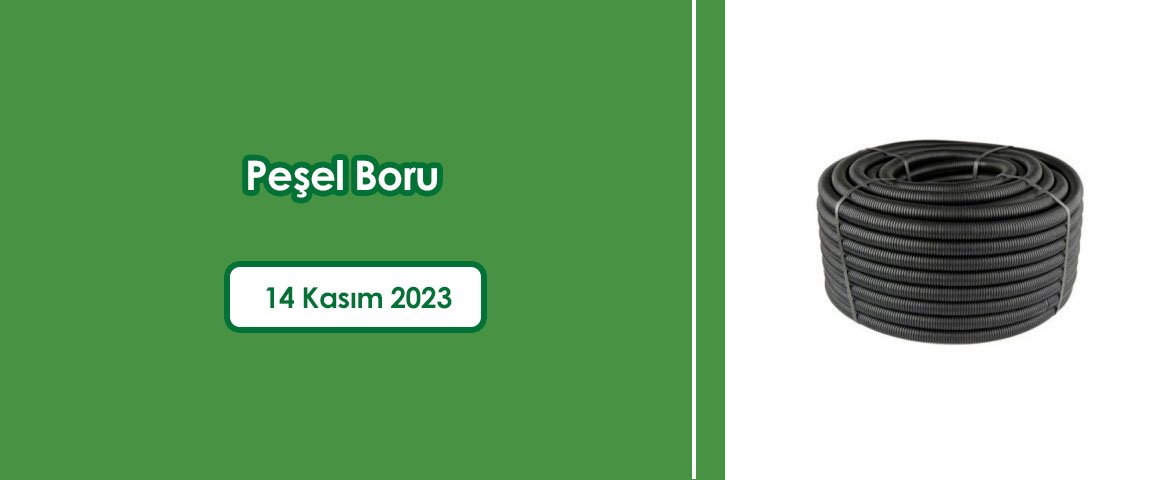 Peşel Boru